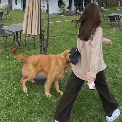 理想的丈夫
